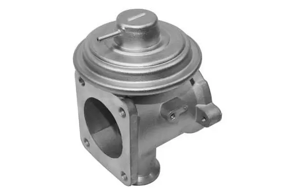 EGR Valve (VA7101)