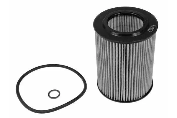 Oil Filter (FH1101)