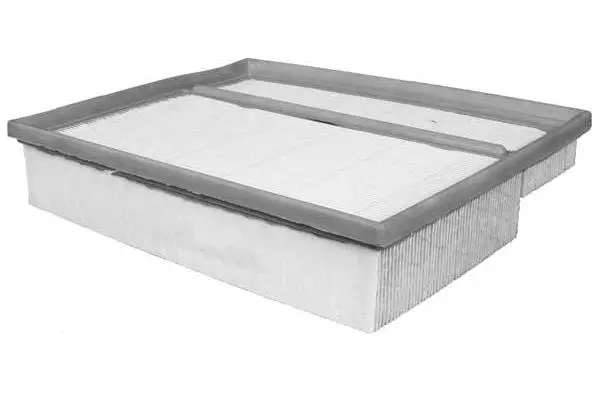 Air Filter (FA3070)