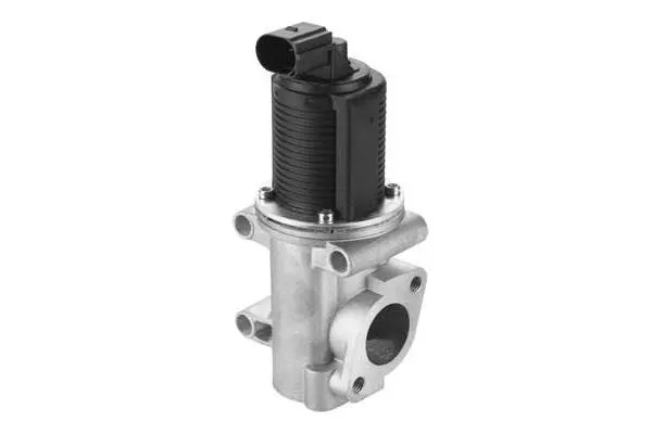 EGR Valve (VA7075)