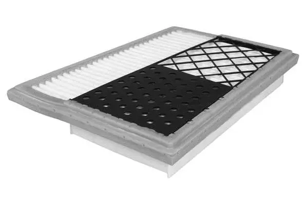 Air Filter (FA3179)