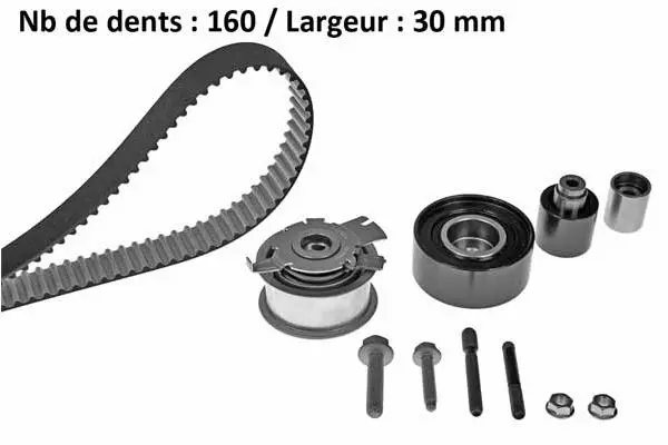 Timing Belt Kit
