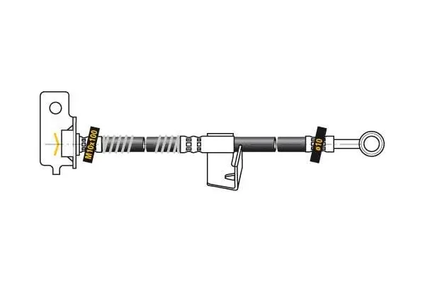 Brake Hose (F5556)
