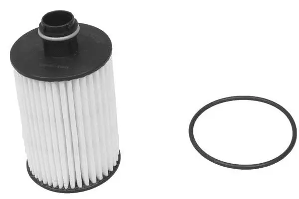 Oil Filter (FH1199)