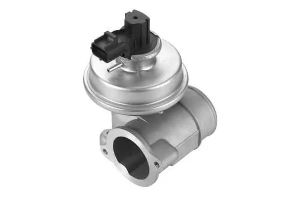 EGR Valve (VA7166)