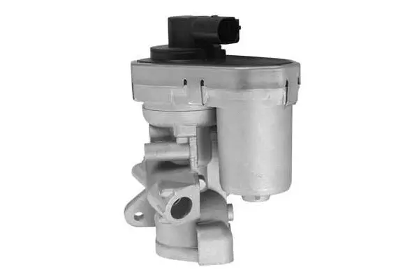 EGR Valve (VA7021)