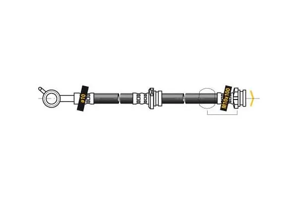 Brake Hose (F5579)