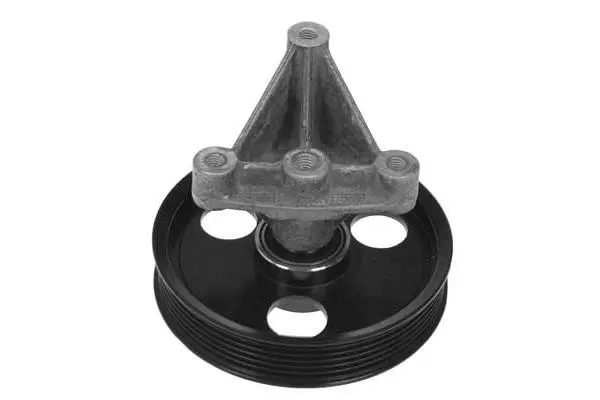 Deflection/Guide Pulley, V-ribbed belt (GA4213)