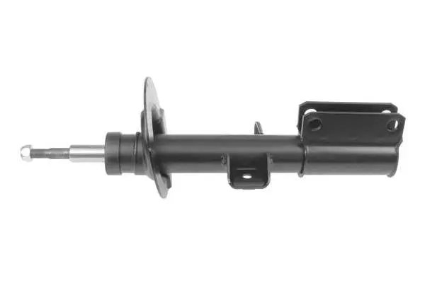 Shock Absorber (AM8170)