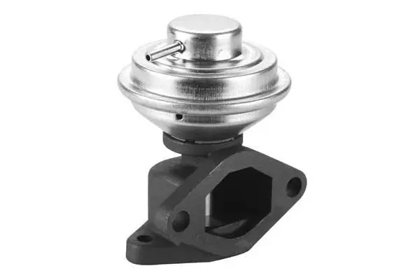 EGR Valve (VA7156)