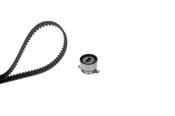 Timing Belt Kit (X479H1)
