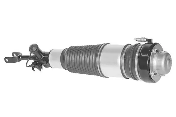 Air Suspension Strut (AMP2000)