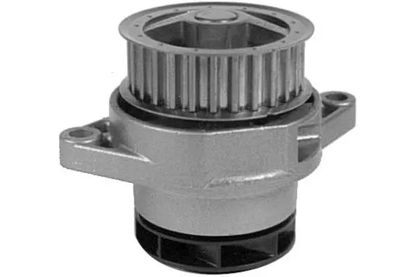 Water Pump, engine cooling (W603)