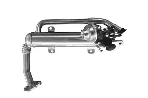 Cooler, exhaust gas recirculation (VG7209)