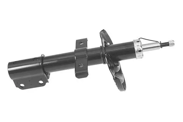 Shock Absorber (AM5856)