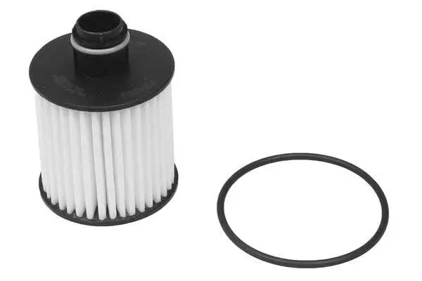 Oil Filter (FH1203)