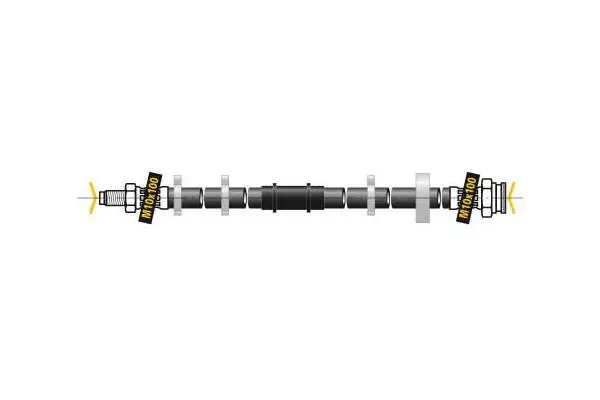 Brake Hose (F5974)