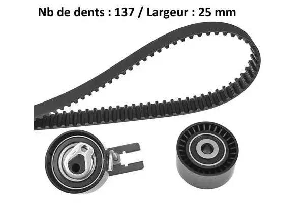 Timing Belt Kit (X599H1)