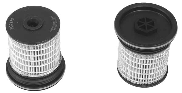 Fuel Filter (FG2173)