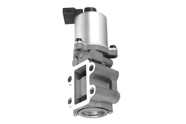 EGR Valve (VA7148)