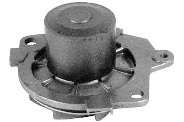 Water Pump, engine cooling (W672)