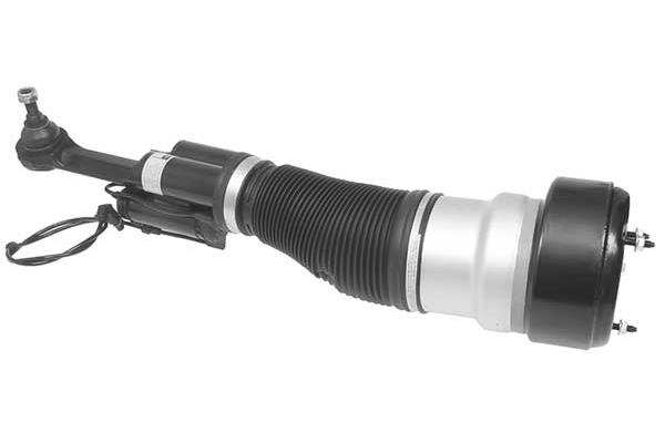 Air Suspension Strut (AMP2014)