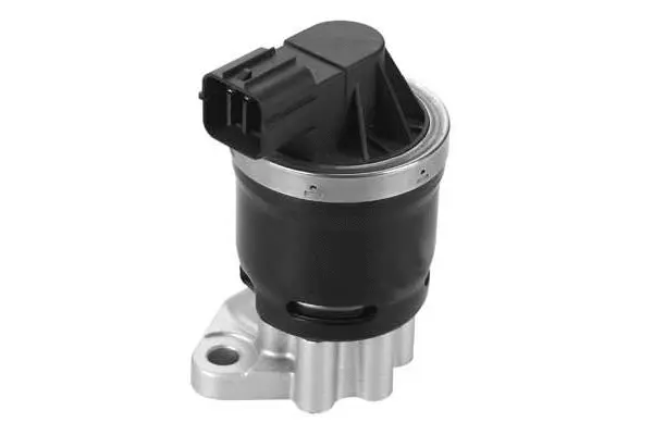 EGR Valve (VA7139)