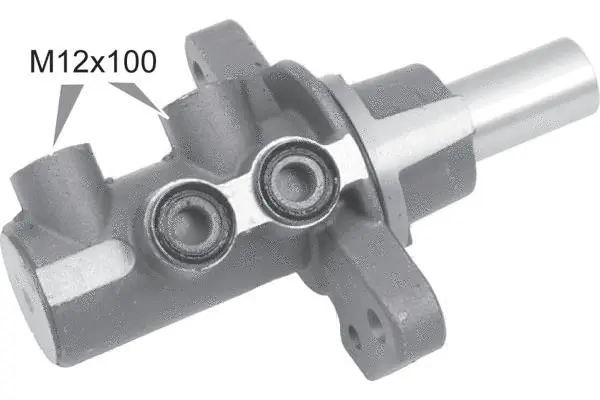 Brake Master Cylinder (MC3173)
