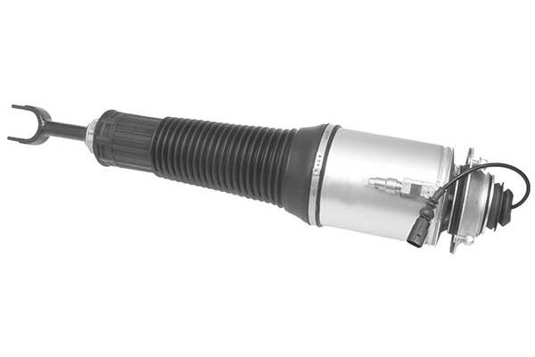 Air Suspension Strut (AMP2002)