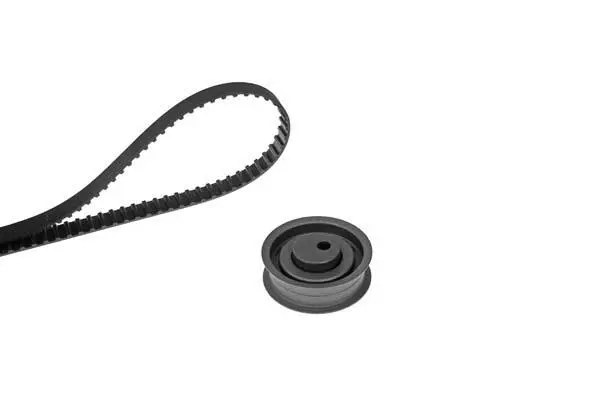 Timing Belt Kit (X165H1)