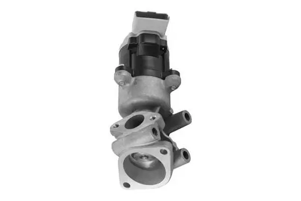 EGR Valve (VA7037)