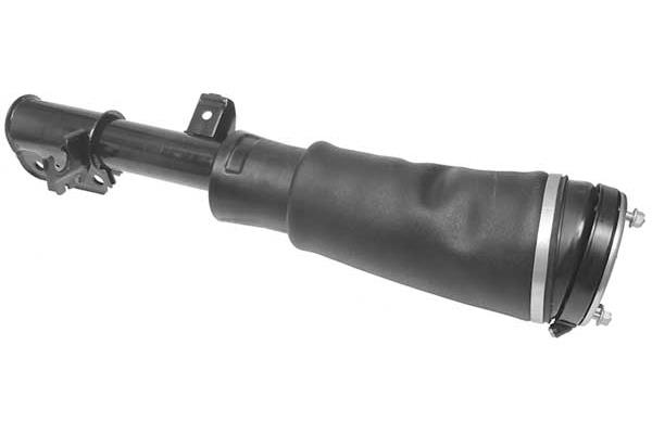 Air Suspension Strut (AMP2022)