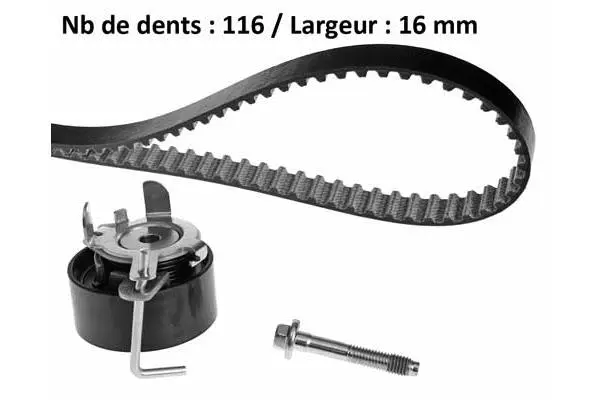 Timing Belt Kit