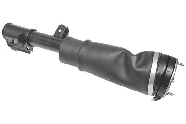 Air Suspension Strut (AMP2021)