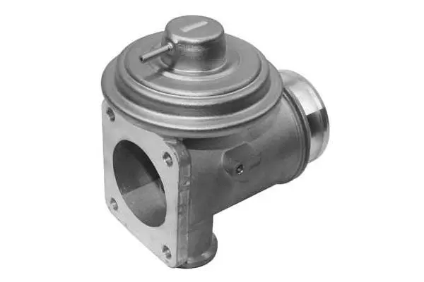 EGR Valve (VA7046)
