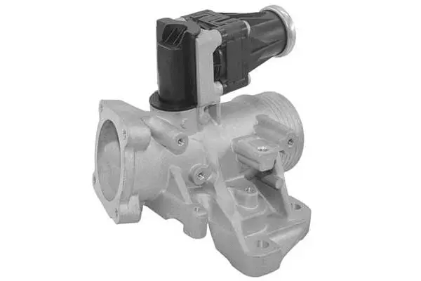 EGR Valve (VA7087)