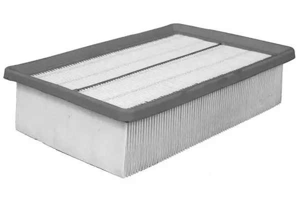 Air Filter (FA3092)