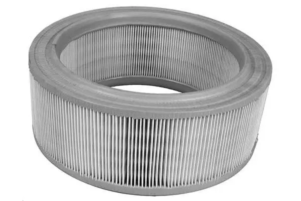 Air Filter (FA3171)