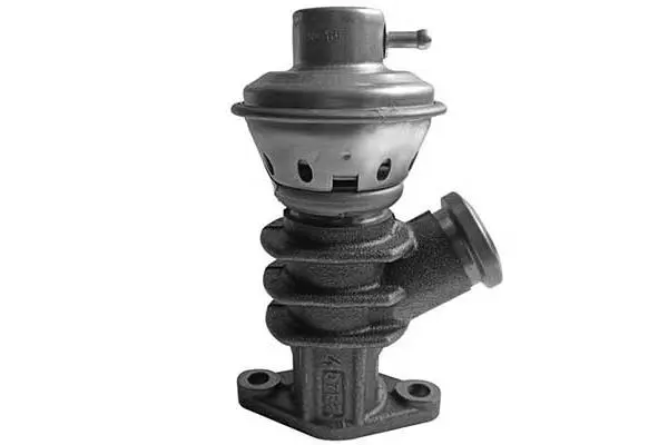EGR Valve (VA7013)