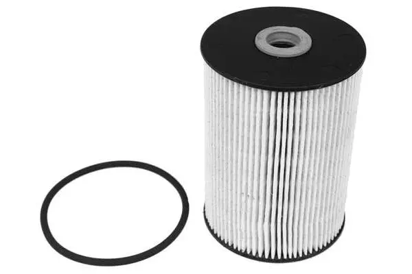Fuel Filter (FG2045)