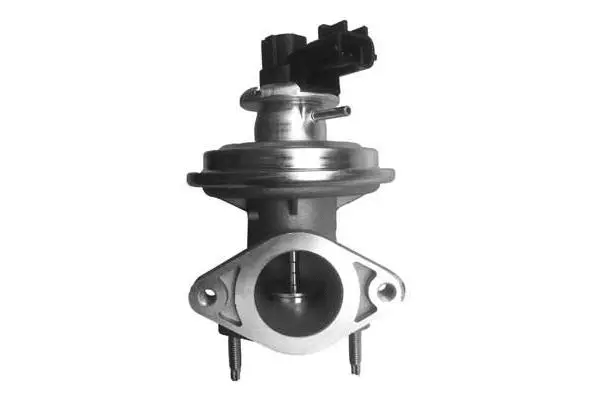 EGR Valve (VA7171)
