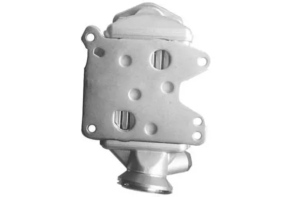 Cooler, exhaust gas recirculation (VG7217)