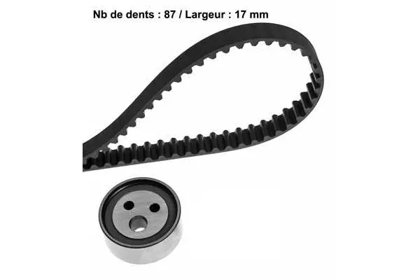 Timing Belt Kit (X355H1)