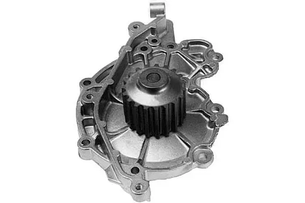 Water Pump, engine cooling (W723)