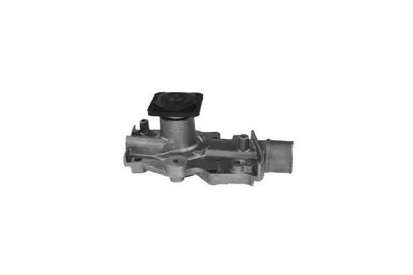 Water Pump, engine cooling (W501)