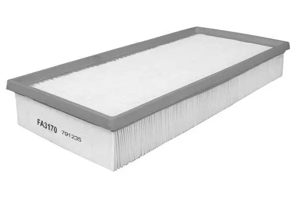 Air Filter (FA3170)