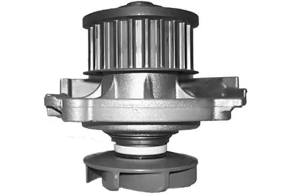 Water Pump, engine cooling (W866)