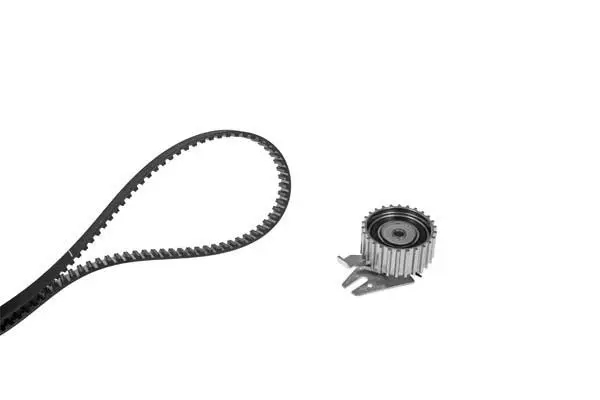 Timing Belt Kit (X231H1)