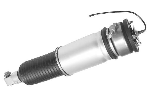 Air Suspension Strut (AMP3007)