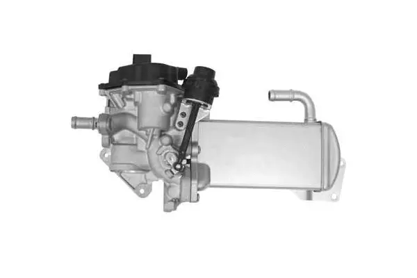 EGR Module (VR7236)